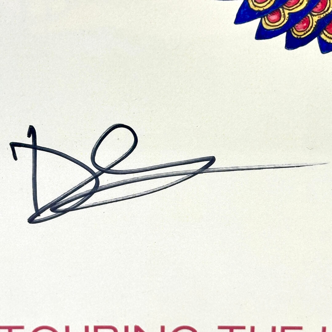 Signature on a white background with colorful decorative elements