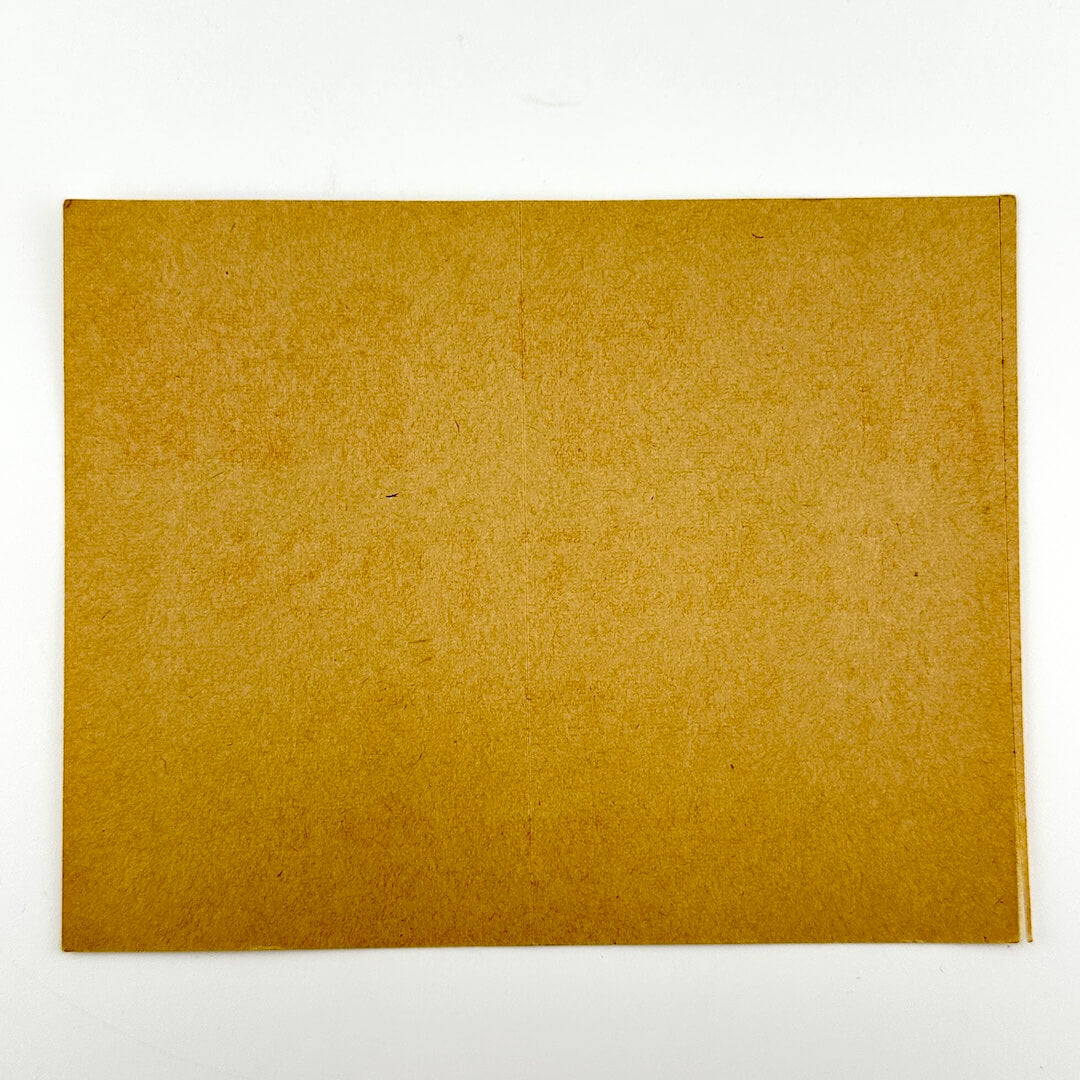 Backside of pass showing unused adhesive backing.