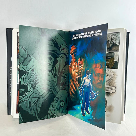 An open graphic novel or art book displayed against a plain white background.