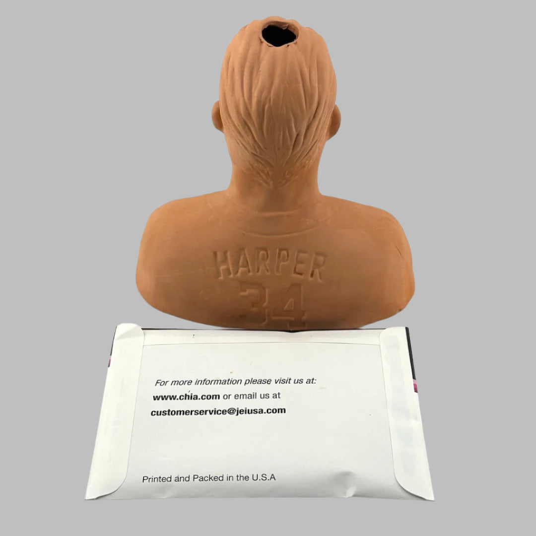 Terracotta bust of Bryce Harper of WA Nationals MLB team, with packet of Chia Seeds. Back view.