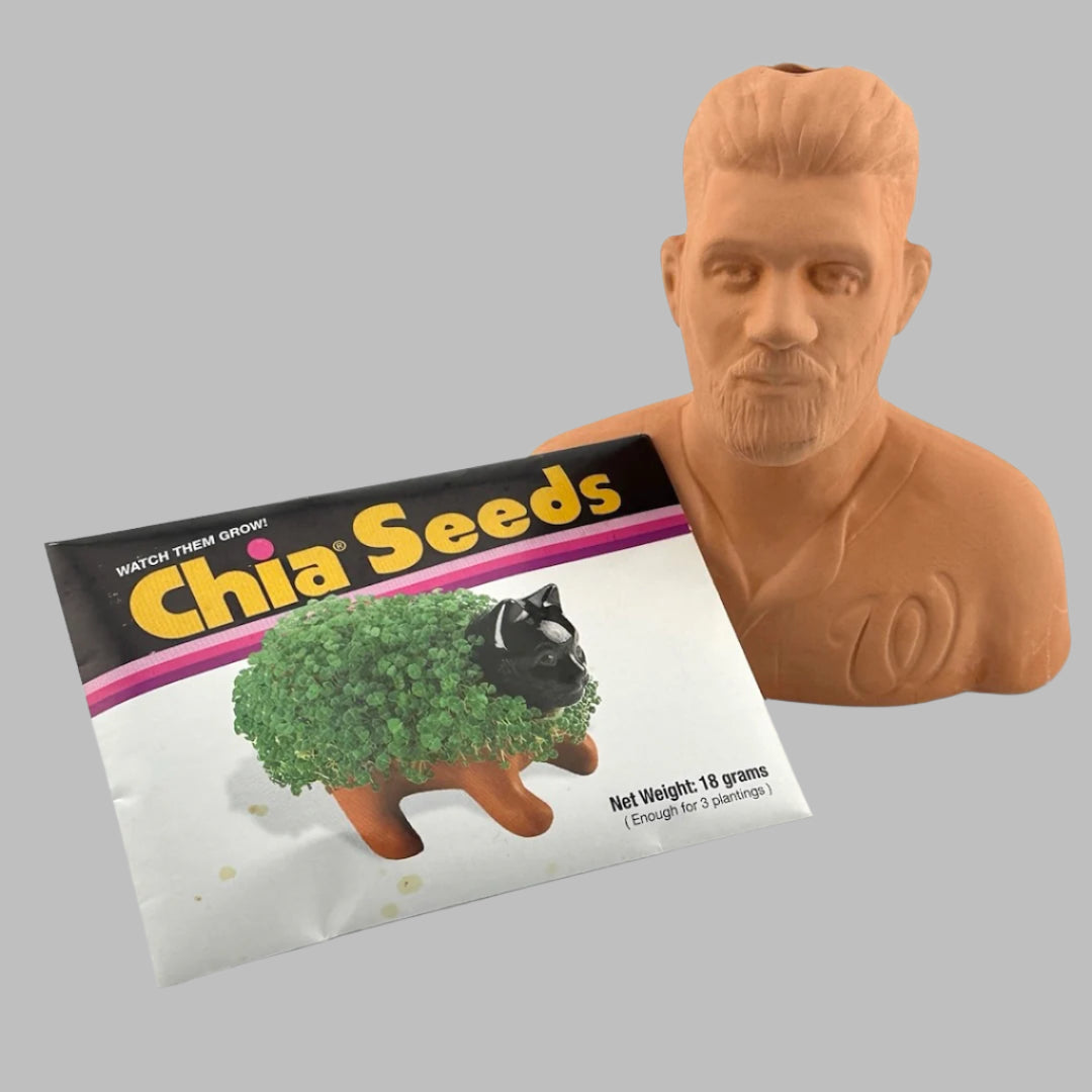 Terracotta bust of Bryce Harper of WA Nationals MLB team, with packet of Chia Seeds.