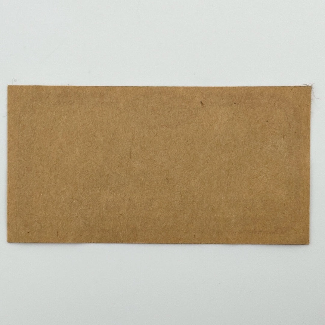 Backside of pass showing that the paper backing is still attached and unused.