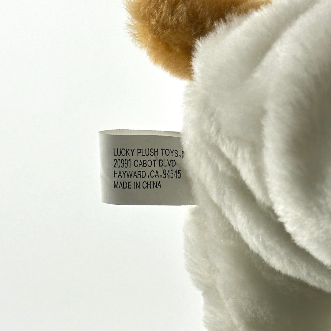 Pearl Jam - 2003 - Lost Dogs Promo