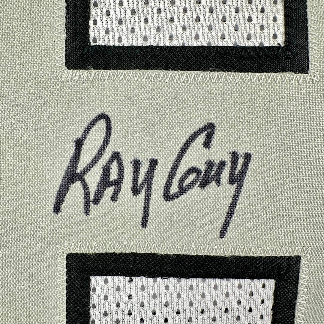 Signature of 'Ray Guy' on a textured number patch on jersey background