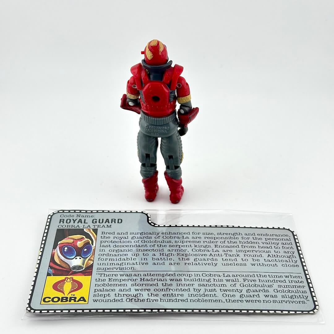 A GI Joe action figure standing next to its printed collector's information card on a white background.