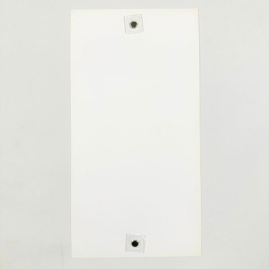 The Snow Bride - Print by Tara McPherson