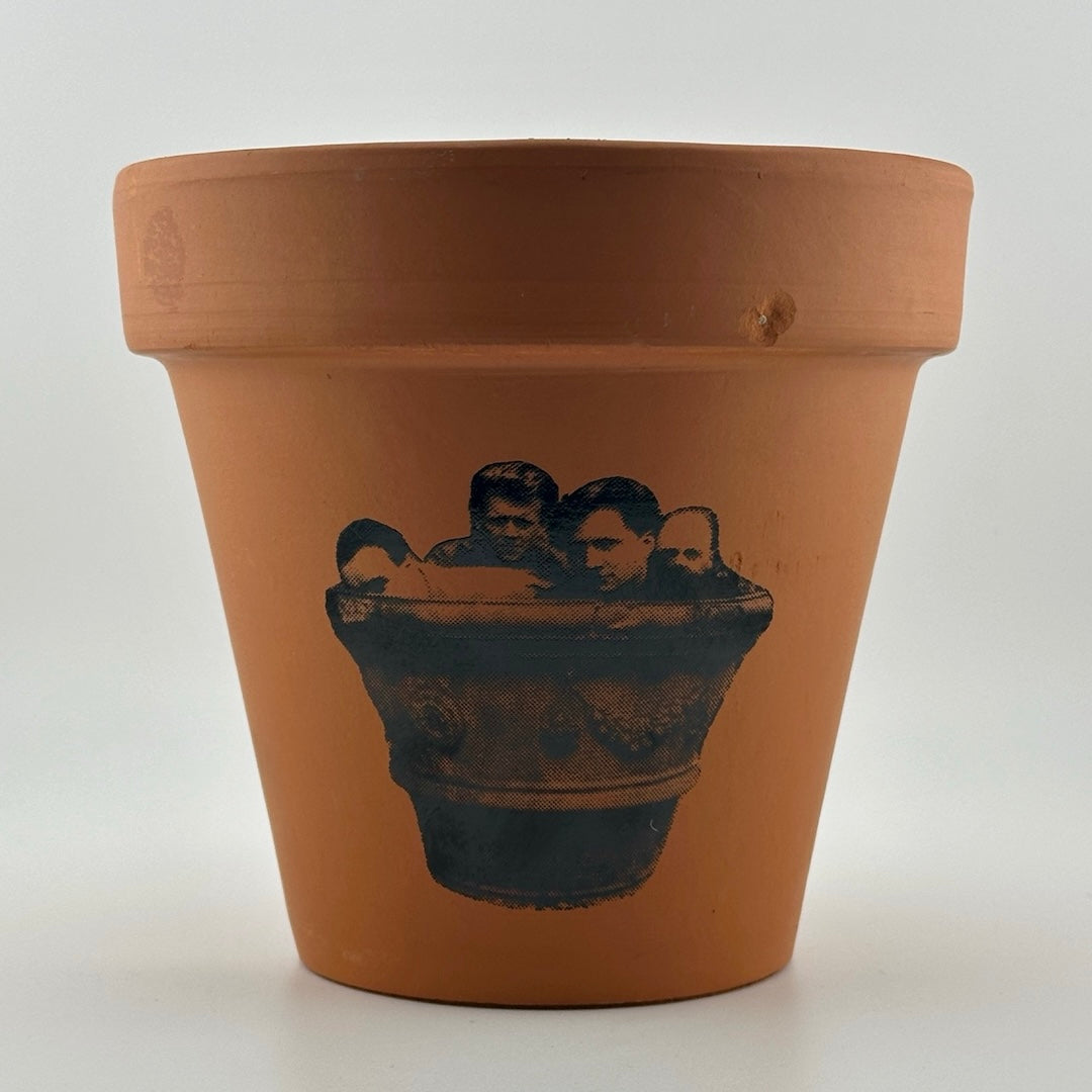 Terracotta clay flower/plant pot with image of band printed on side.