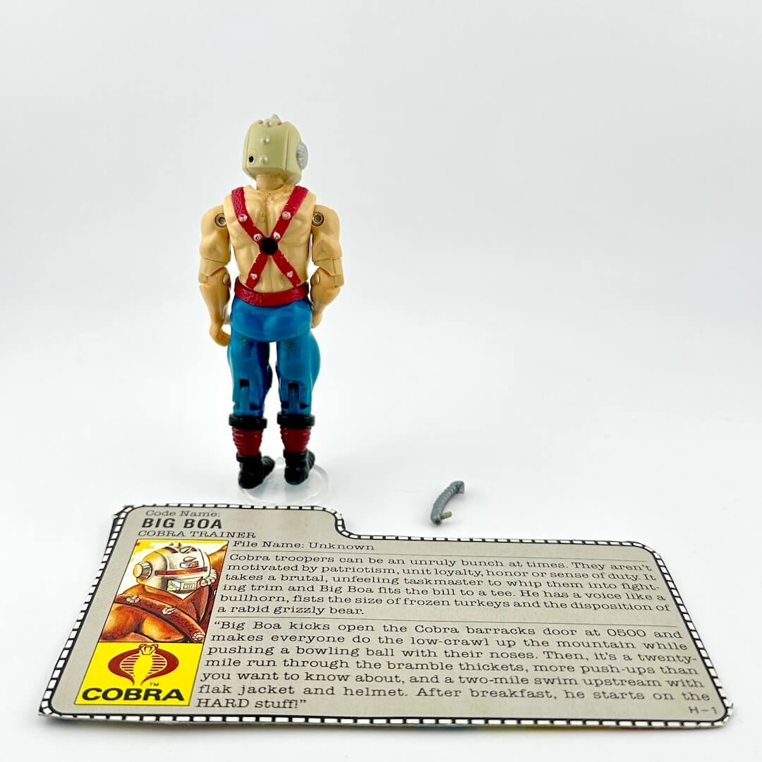 Toy figure with a card detailing its features on a white background