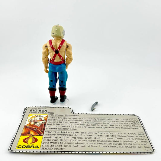 Toy figure with a card detailing its features on a white background