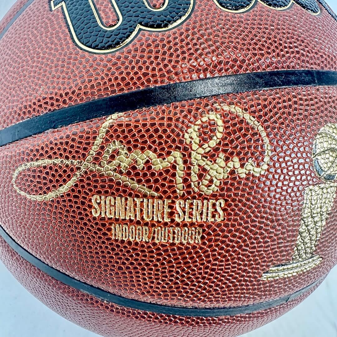 Basketball with 'Wilson' branding and 'Signature Series' text on a light blue background