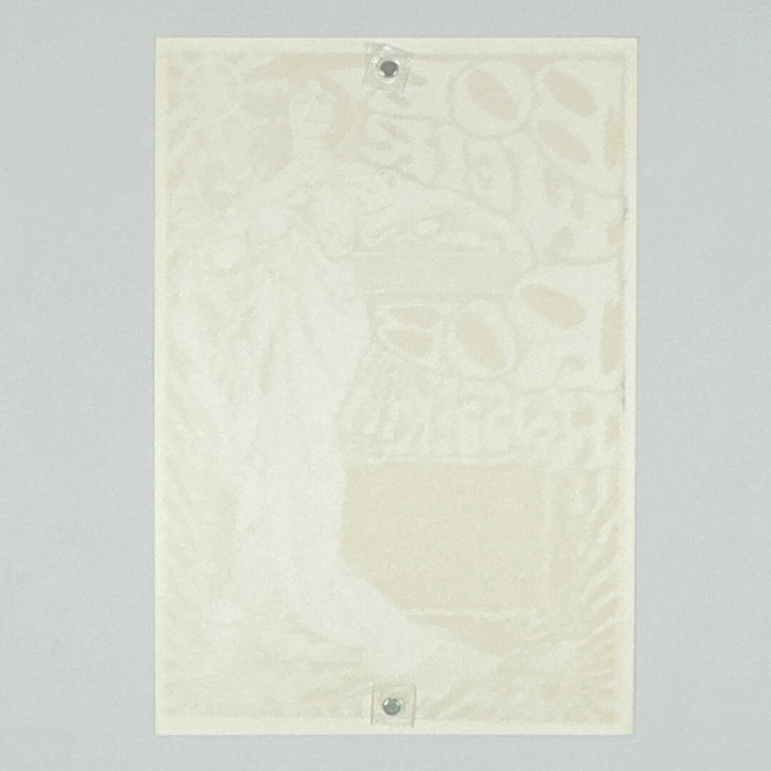 Backside of poster with ghost image of front against white background. 