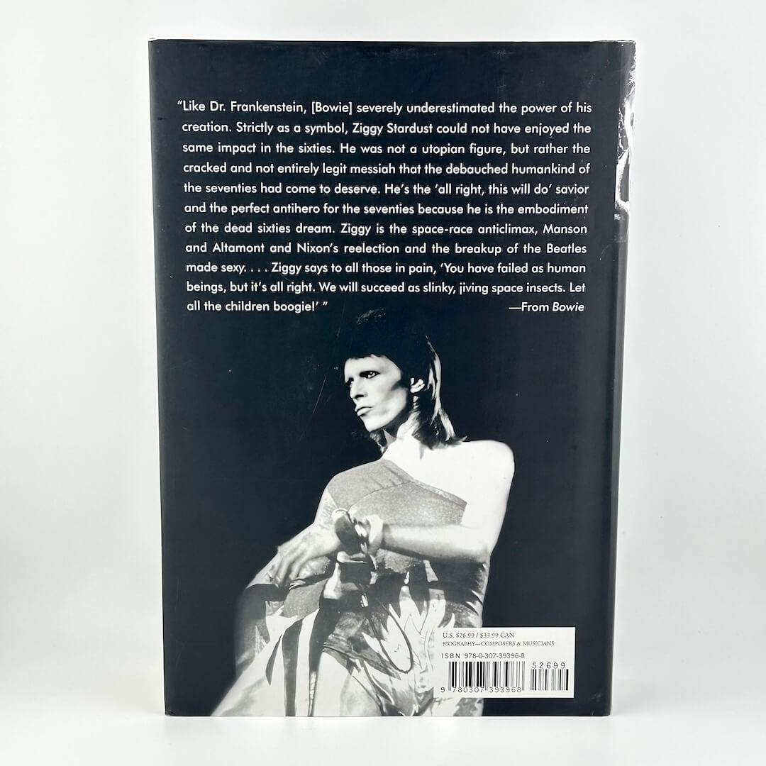 Book back cover with text and a black and white photo of a person holding a gun.