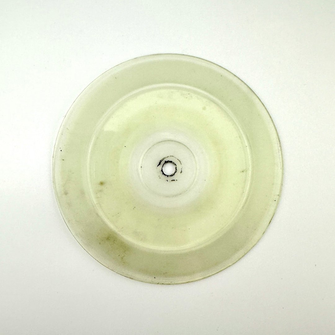 Image of one side of clear vinyl disc included with VHS.