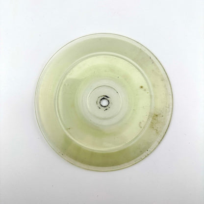 Image of one side of clear vinyl disc included with VHS.