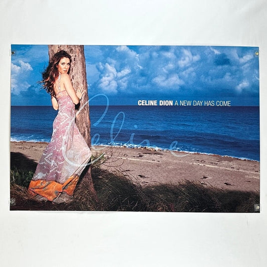 Promotional poster for Celine Dion's album 'A New Day Has Come' with a scenic beach background.