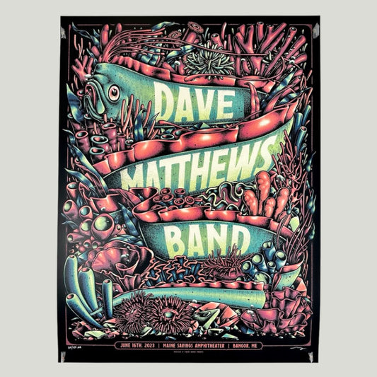 Black background with image of salmon colored coral & teal eel woven throughout. Dave Matthews Band in white on eel's body