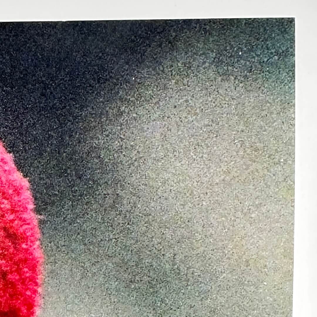 Top right corner of photo with no visible damage. 