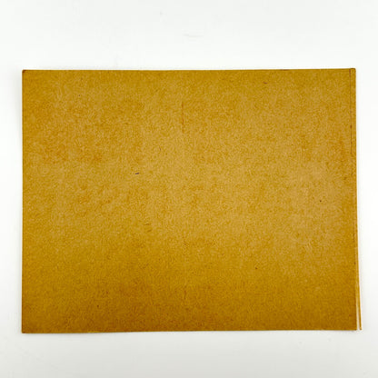 Backside of pass showing unused adhesive backing. 