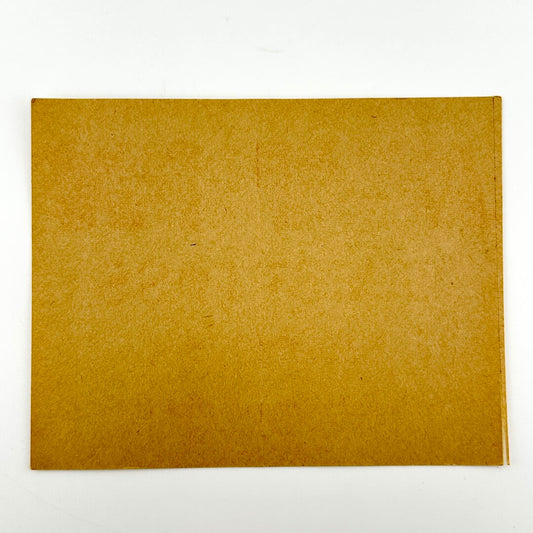 Backside of pass showing unused adhesive backing. 