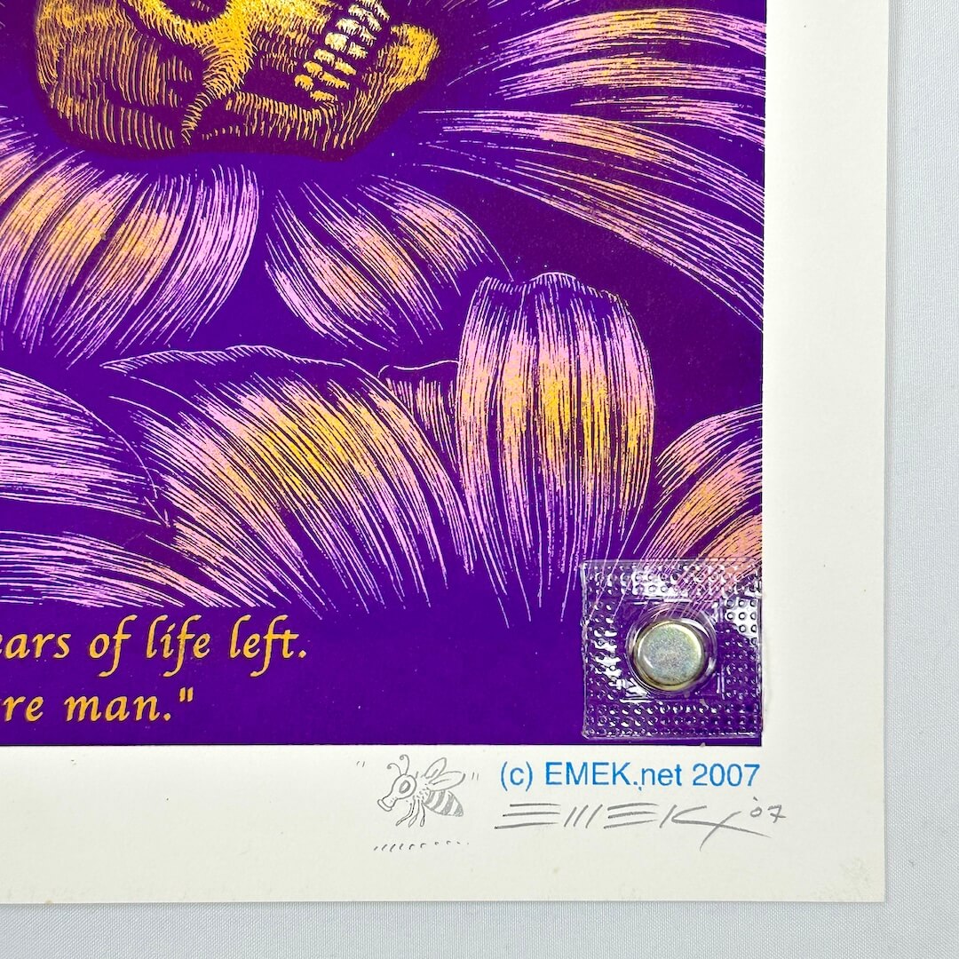 Endangered Honey Bee - 2007 - Art by Emek