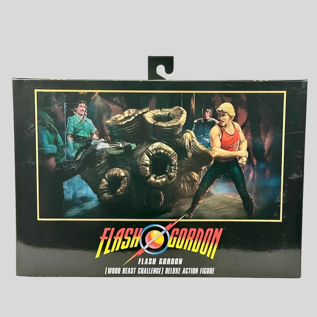 Flash Gordon action figure packaging with character illustration and logo.