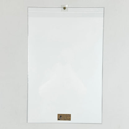 A clear plastic document sleeve with a white sheet inside, photographed against a plain light gray background.