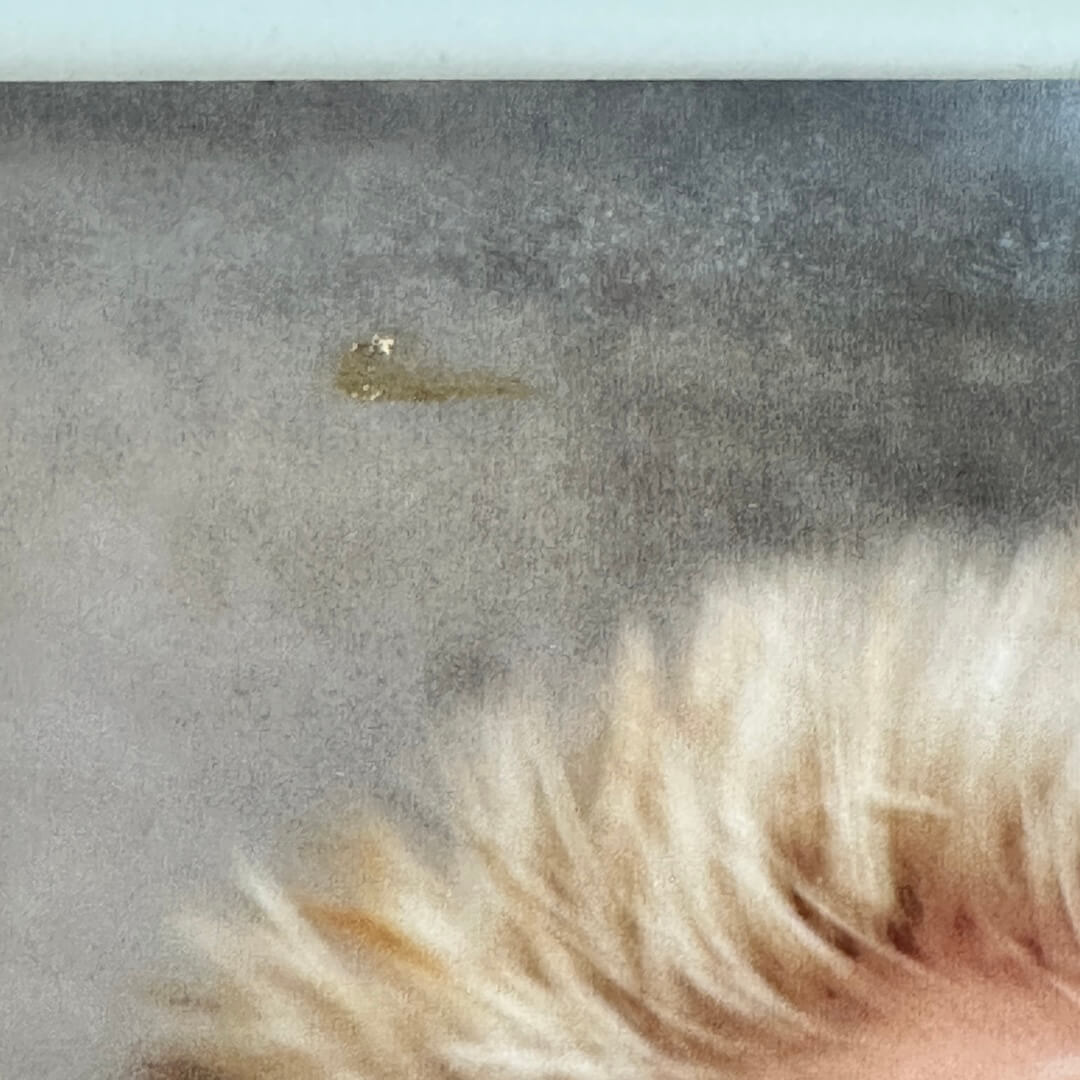 Adhesive scar above one band member's head on front, very faint. 