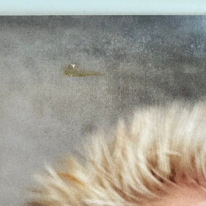 Adhesive scar above one band member's head on front, very faint. 
