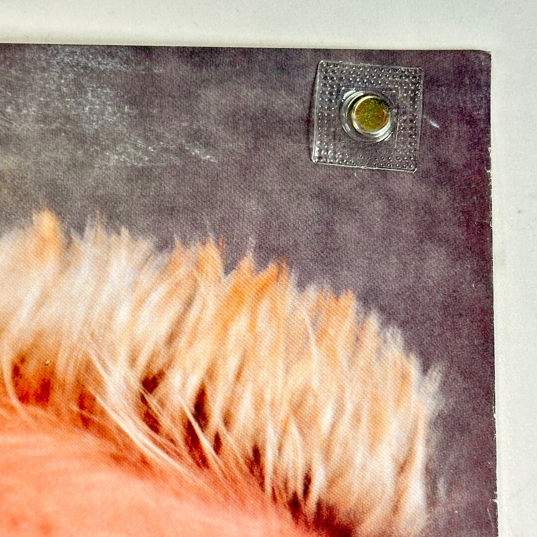 Top right corner of poster with slight wear to edge