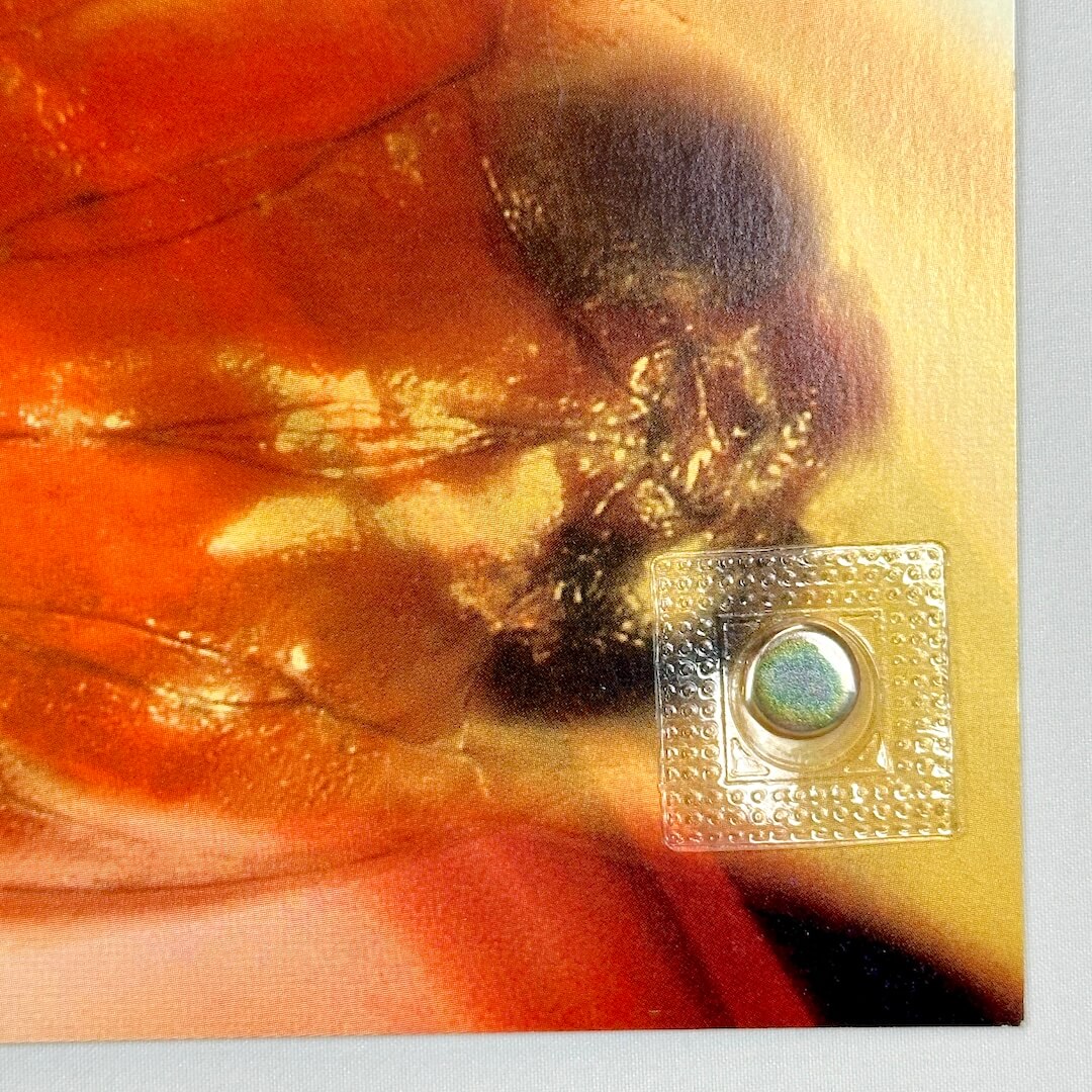 Bottom right corner in mint condition. 