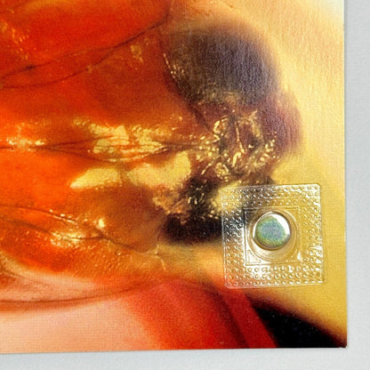 Bottom right corner in mint condition. 