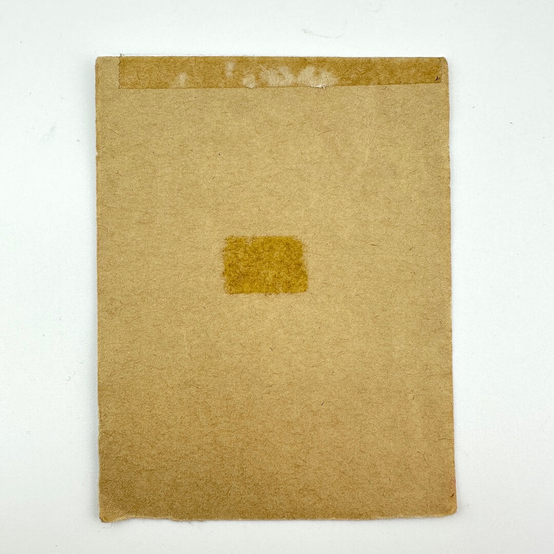 Backside of pass showing intact backing and adhesive scars.