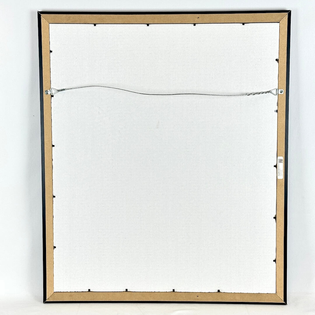 Back of frame with white backing and wire for hanging. 