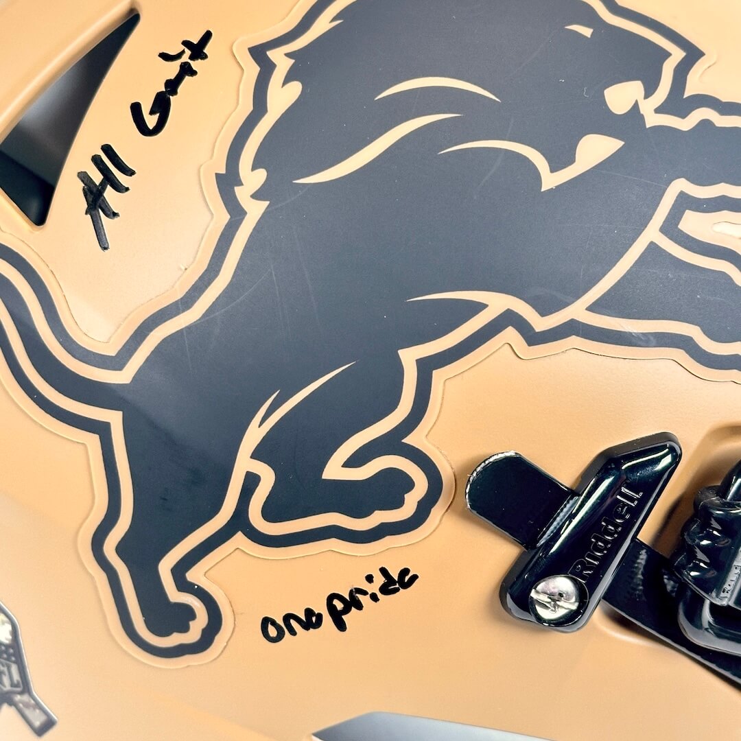 Close-up of a lion logo and 'One Pride' text on a beige background