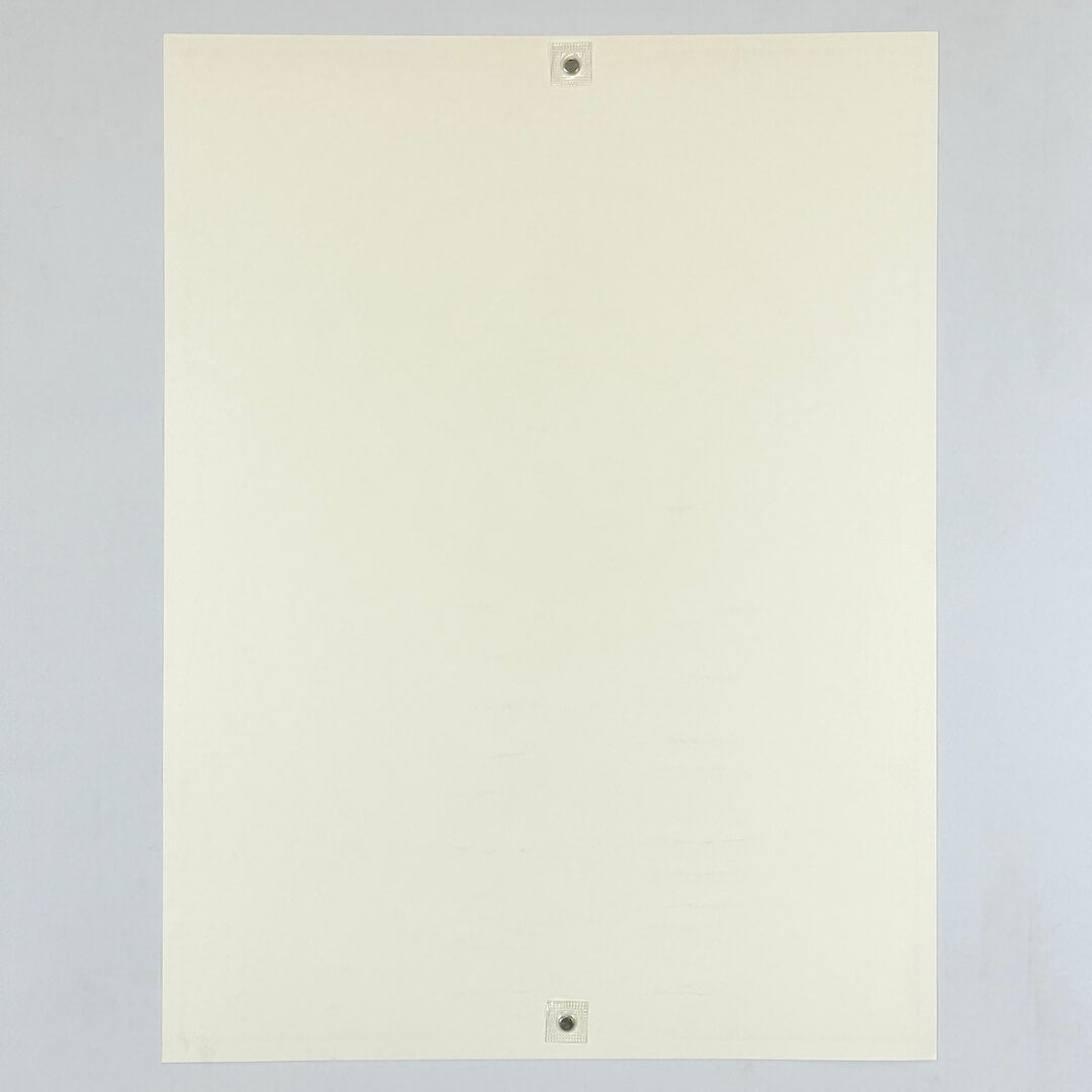 Backside of poster to show no damage. 