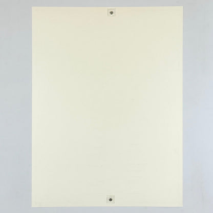 Backside of poster to show no damage. 