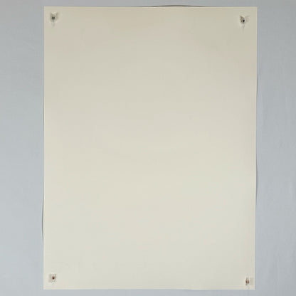 Backside of white poster showing no damage, creases, holes or smudges. 