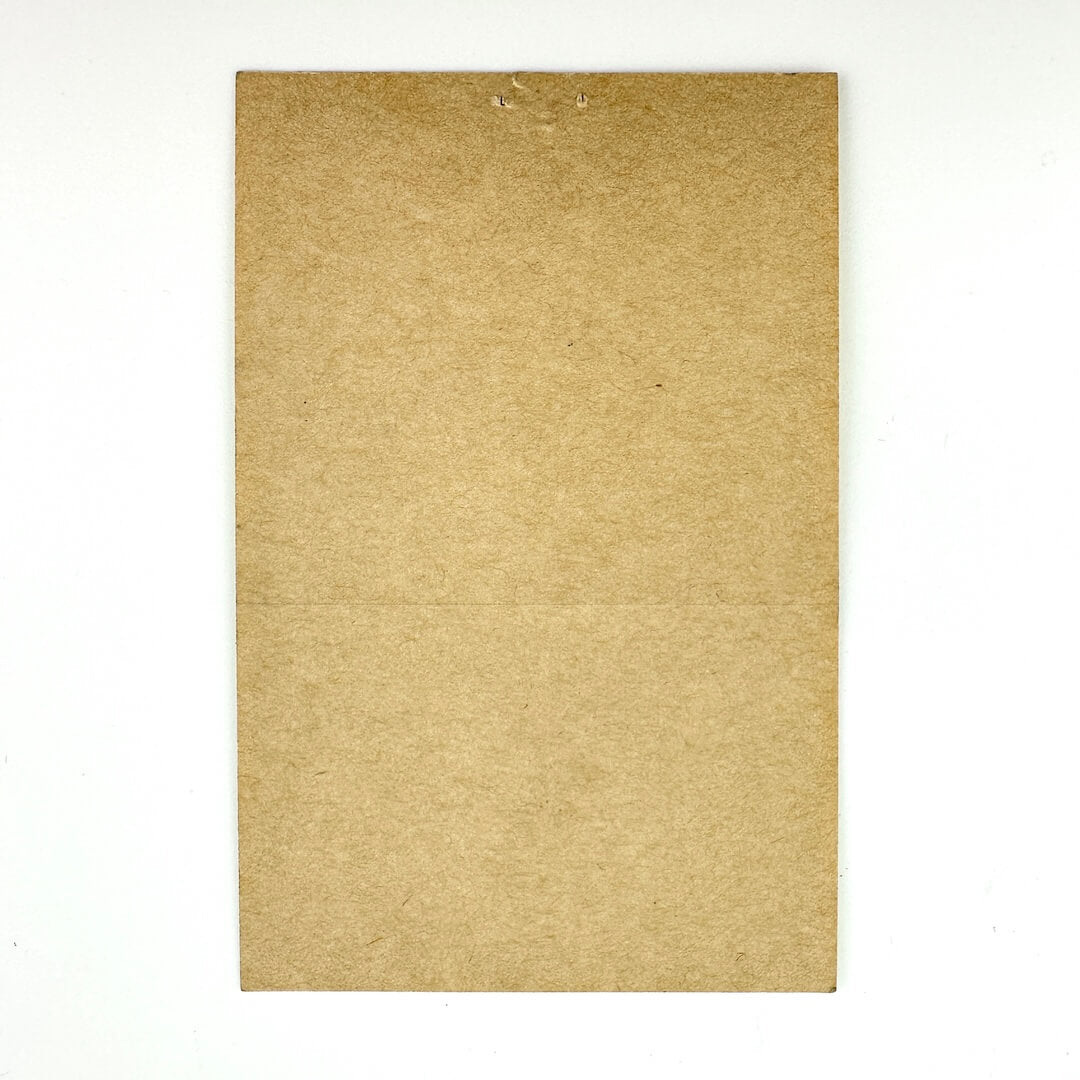 Backside of pass to show intact sticker backing and pin holes.