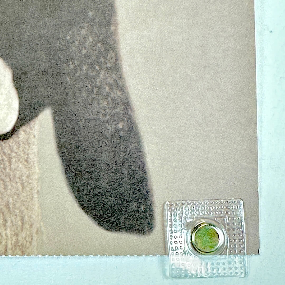 Bottom right corner of poster with perforated edge visible. 