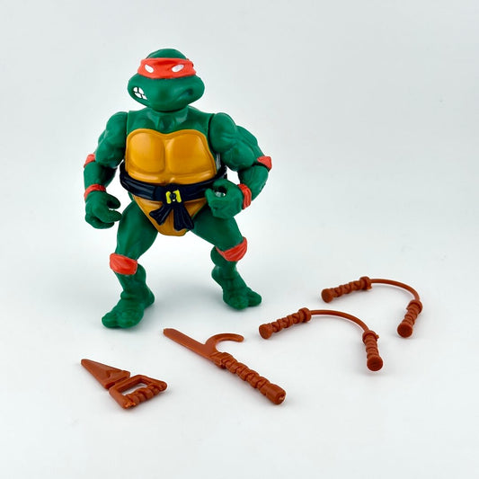 TMNT turtle action figure with accessories on white background. 