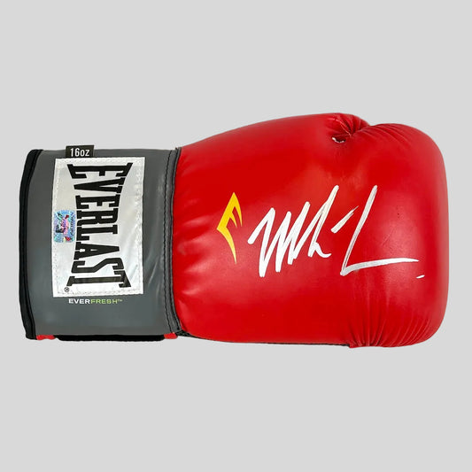 Red Everlast boxing glove with silver signature on mitt on light background. 
