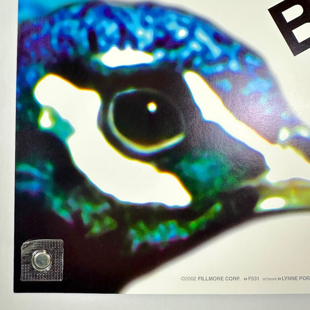 Bottom left corner in mint condition. 