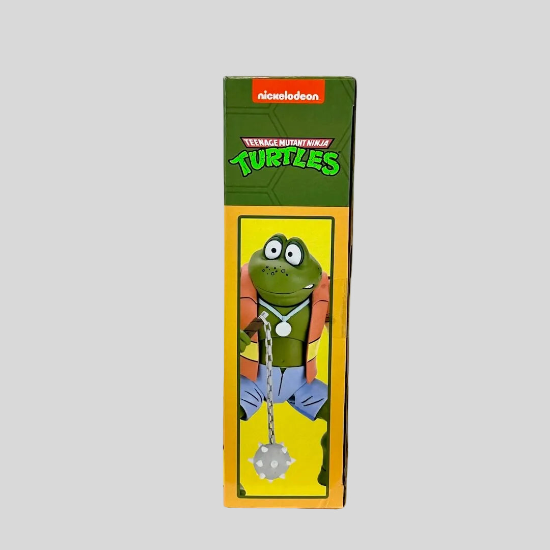 Side view of packaging with illustration of frog in clothes with TMNT and Nickelodeon branding. 