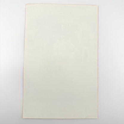 Backside of vintage handbill showing no damage and pristine condition. 