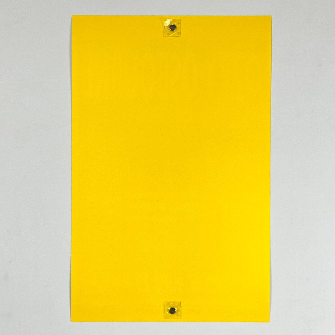 Backside of poster to show zero damage and pristine condition. 