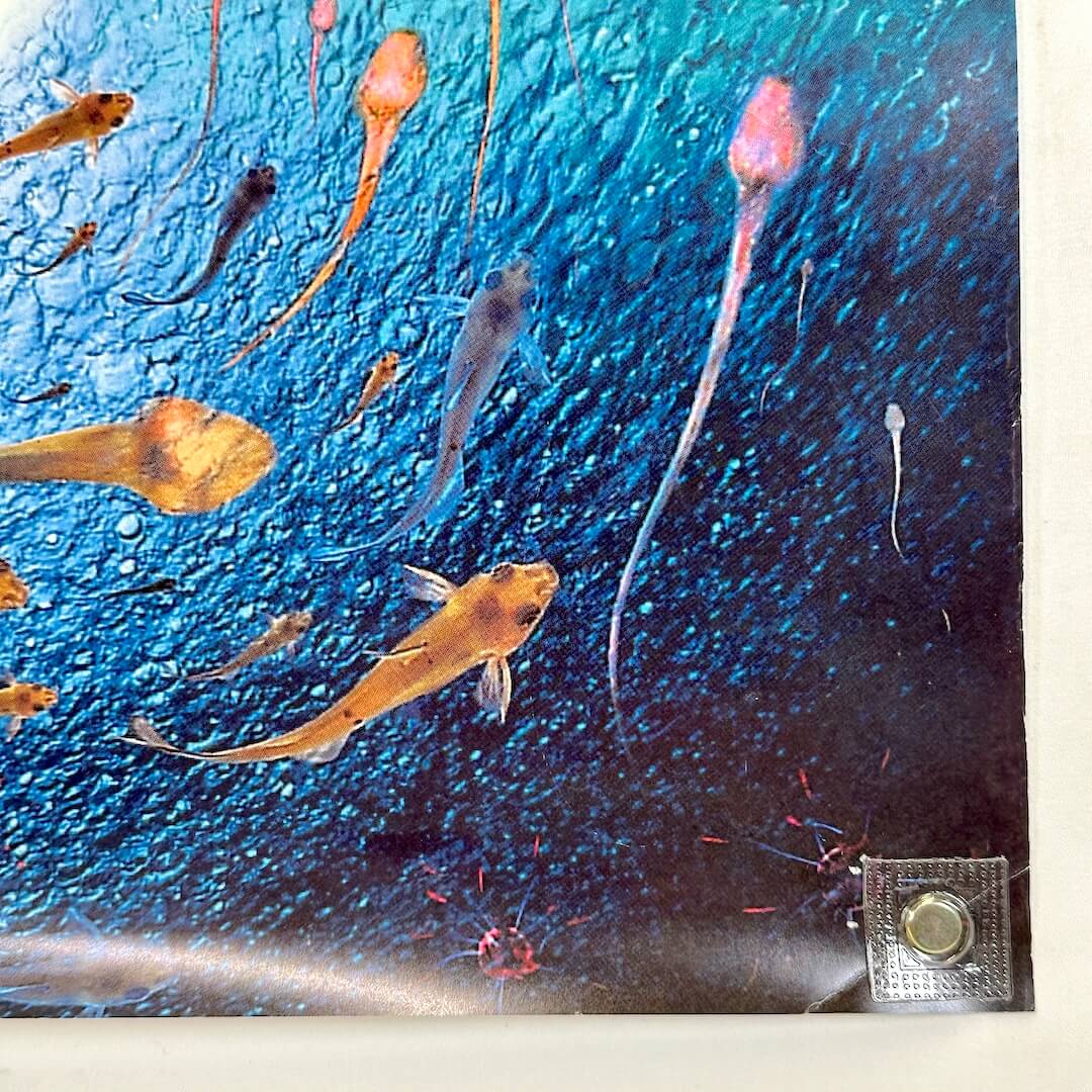 Bottom right corner with pin holes. 