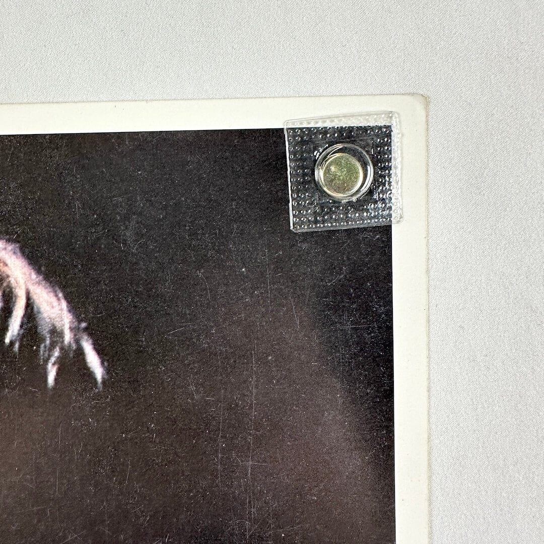 Top right corner of photo in good condition. 