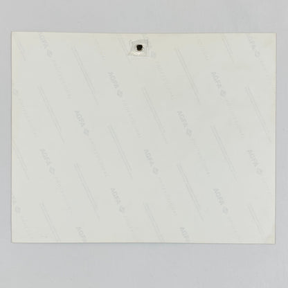 Backside of photo with branding watermarks throughout. No damage. 