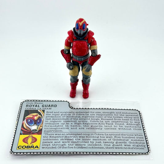 A GI Joe action figure standing next to its printed collector's information card on a white background.