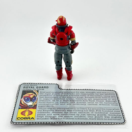 A GI Joe action figure standing next to its printed collector's information card on a white background.